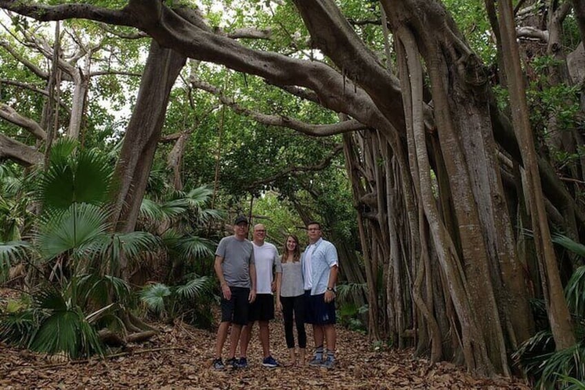 Half-Day Tour of Bermuda with Lunch