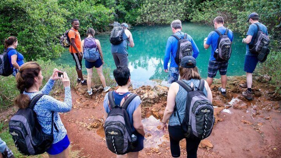 Half-Day Tour of Bermuda with Lunch
