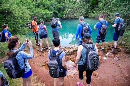 Bermuda Hidden Gems Half-Day Winter Excursion