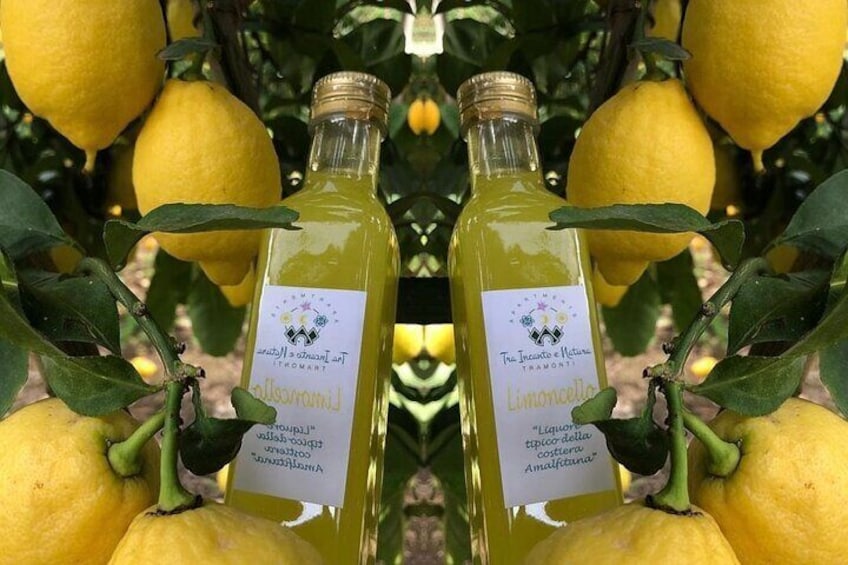 Lemon Experience with tasting in Tramonti