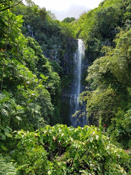 Road to Hana Tour From Maui - Private Tour
