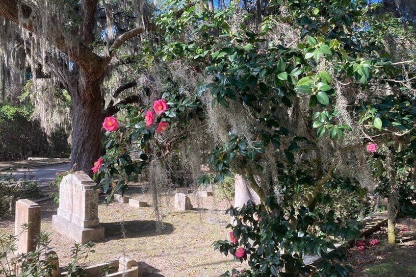 1-Hour Bonaventure Cemetery Golf Cart Guided Tour in Savannah 