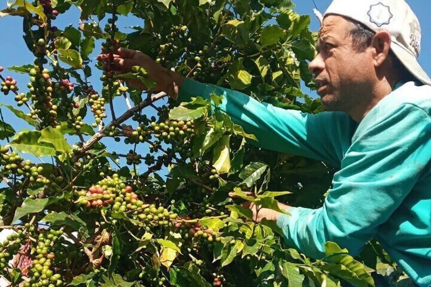 Sarangkot Village Coffee Culture and Authentic Local Life Tour
