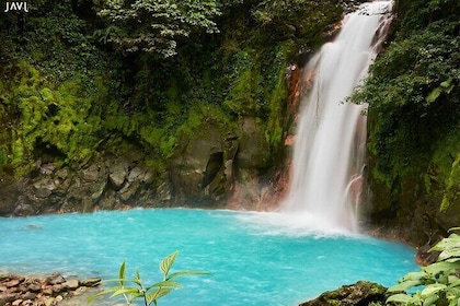 Full-Day Sloth and Rio Celeste Waterfall/Private SUV+Nature Guide