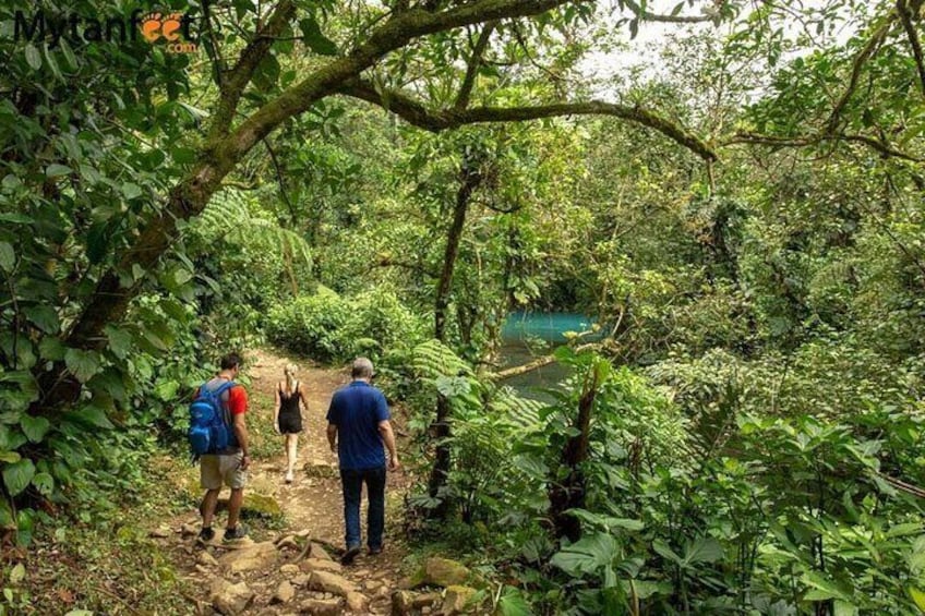 Full-Day Sloths and Blue Waterfall Private Guided Tour with Lunch