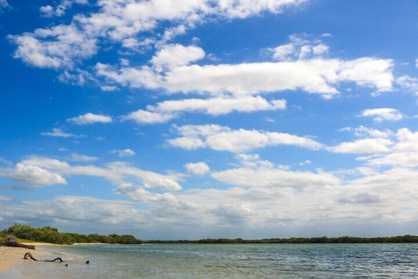 Rio Lagartos Beach