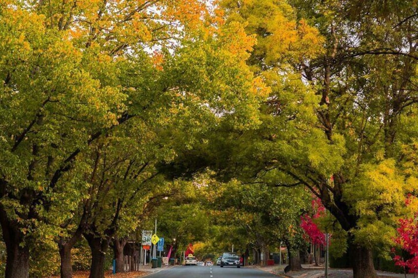 Hahndorf