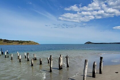 Discover Victor Harbour Walking Tour