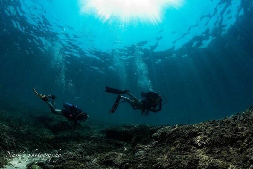 Scuba Diving Experience at Arabian and Oman Sea