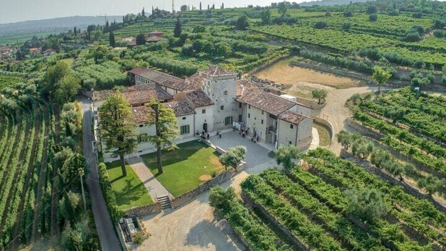 Guided Tour in a Venetian Villa with Valpolicella Wine Tasting