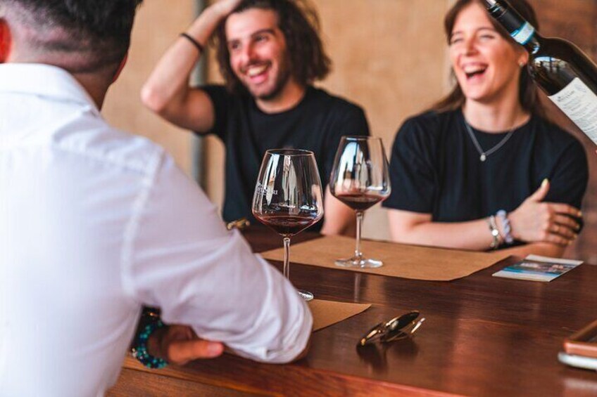Valpolicella Wine Guided Tour in a Venetian Villa with Wine Tasting