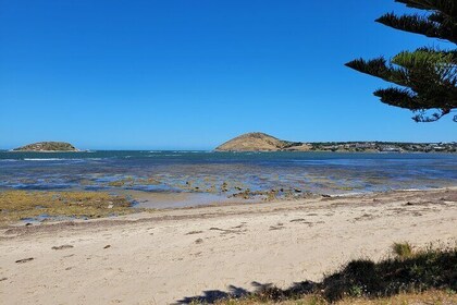 Victor Harbour: Stories of Whaling, Shipwrecks and European Settlers Guided...