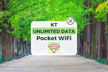 Korea Portable Wifi with Unlimited Data Pick up at Korea Airports