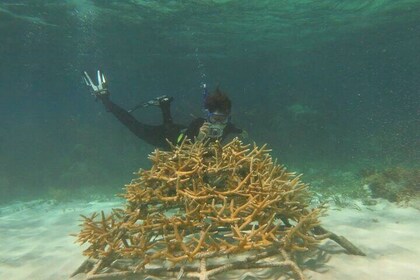 Shared Grand Coralline Experience of Sosua