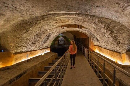 Private Day Adventure through the Guadalajara Museums and Michin Aquarium