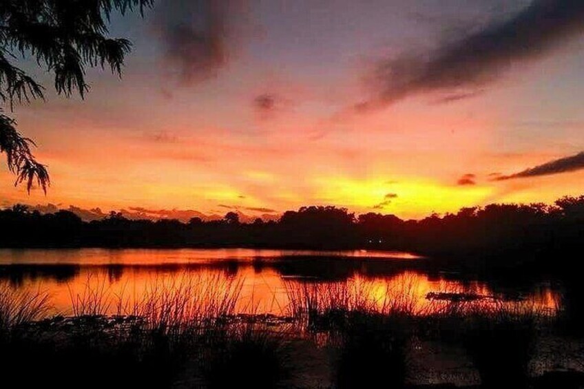 90-Minute Sunset Paddle at Secret Lake Guided Tour in Casselberry 