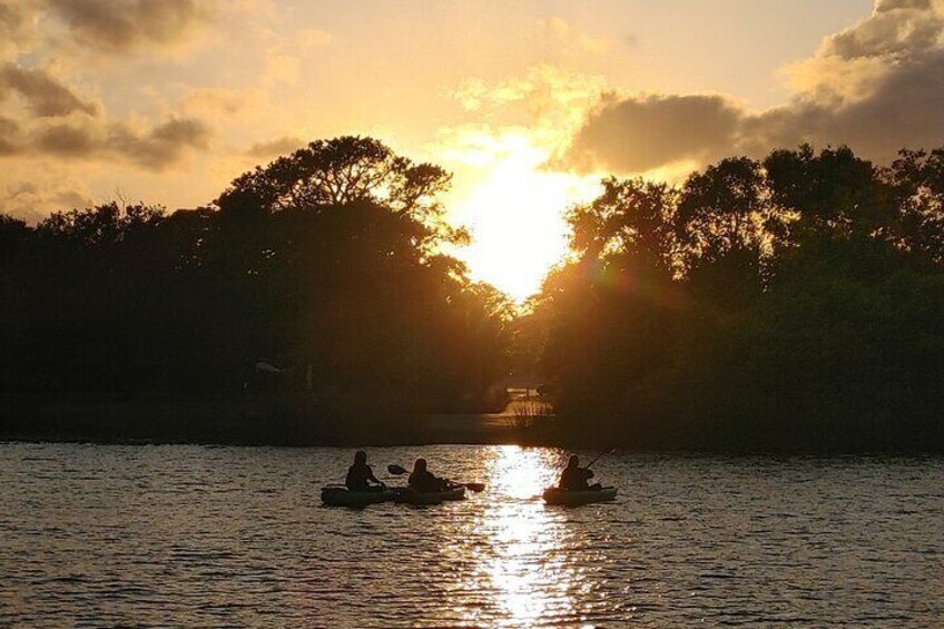 90-Minute Sunset paddle at Secret Lake Guided Kayak Tour in Casselberry 