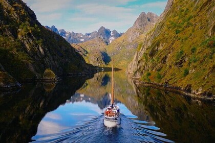Lofoten Islands Luxury Trollfjord Cruise with lunch from Svolvær