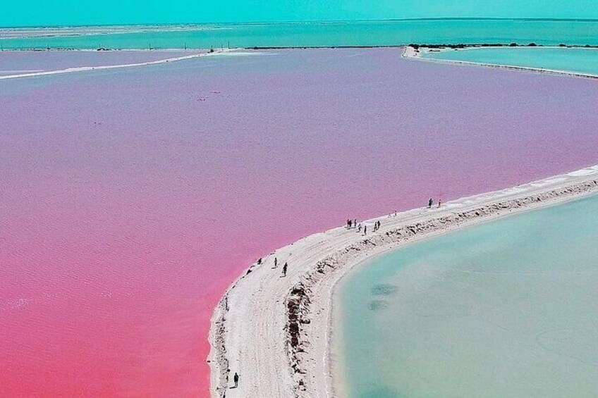 Las Coloradas Amazing Pink Lake from Riviera Maya