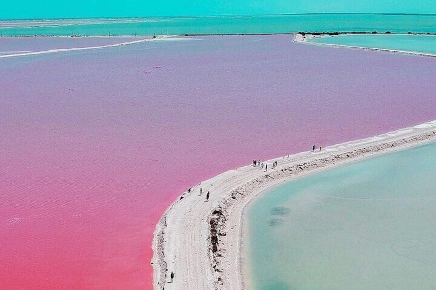 Las Coloradas Amazing Pink Lake from Riviera Maya