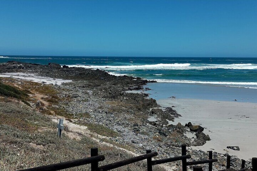 Cape Agulhas Full Day Private Tour