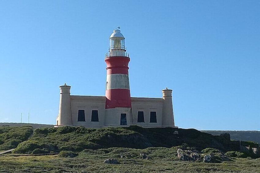Cape Agulhas Full Day Private Tour