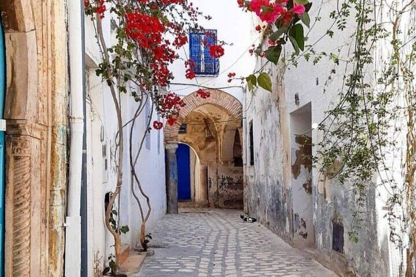 Full Day Private Tour Medina of Tunis, Carthage, Sidi Bousaid with lunch