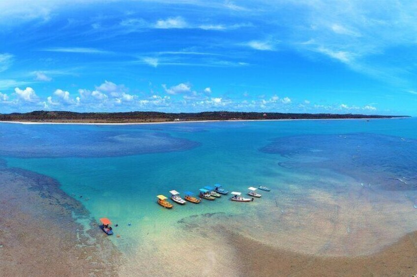 Private Tour from Maragogi to São Miguel dos Milagres Beach