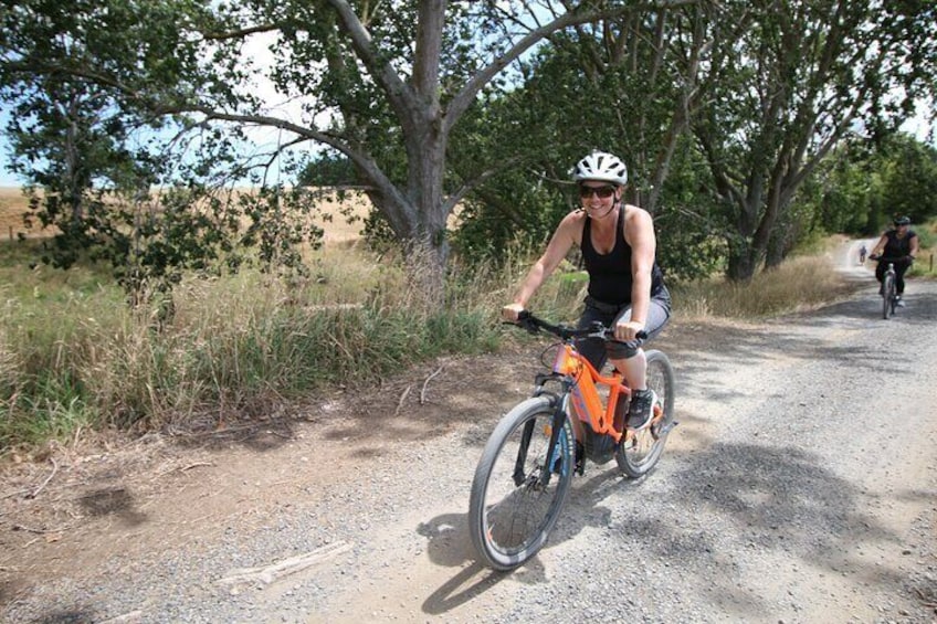 Private Full Day Ebike Tour in Karangahake Gorge