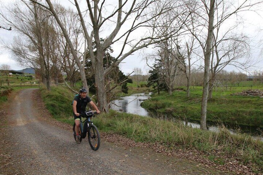 Private Full Day Ebike Tour in Karangahake Gorge