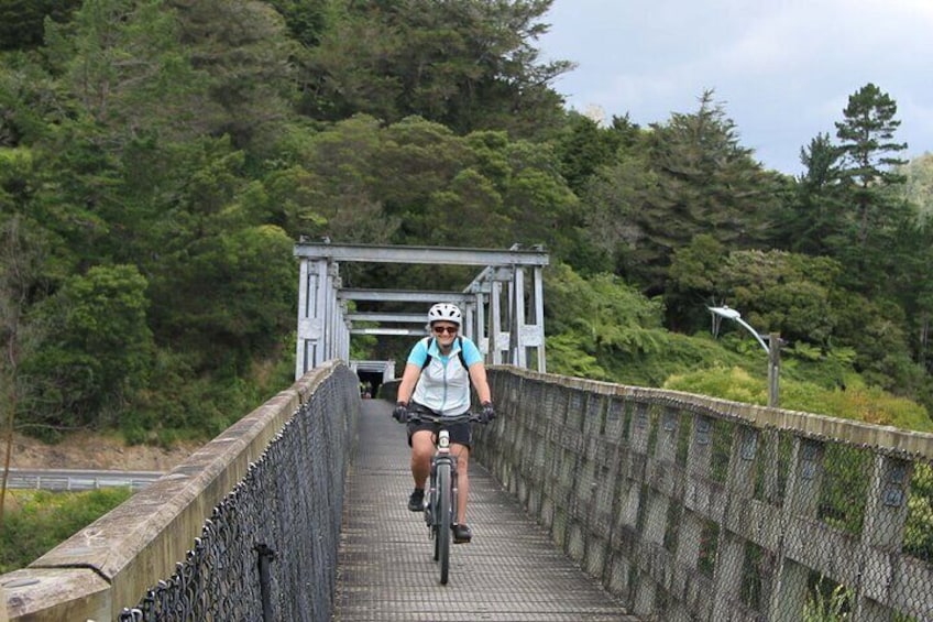 Private Full Day Ebike Tour in Karangahake Gorge