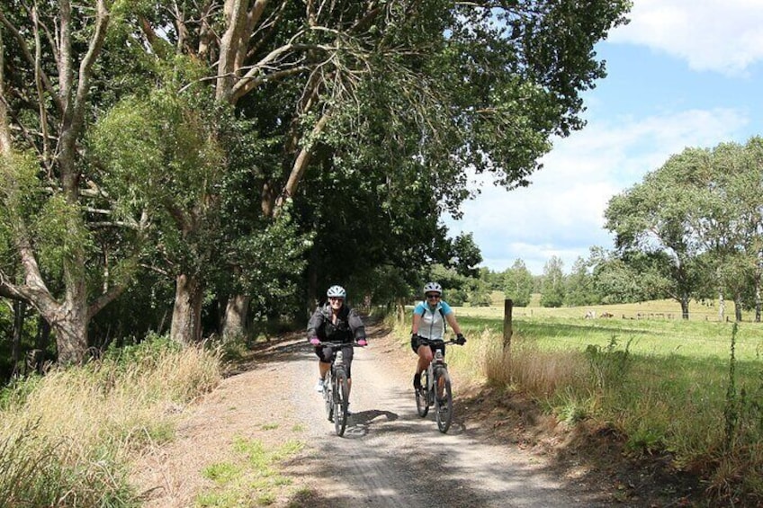 Private Full Day Ebike Tour in Karangahake Gorge