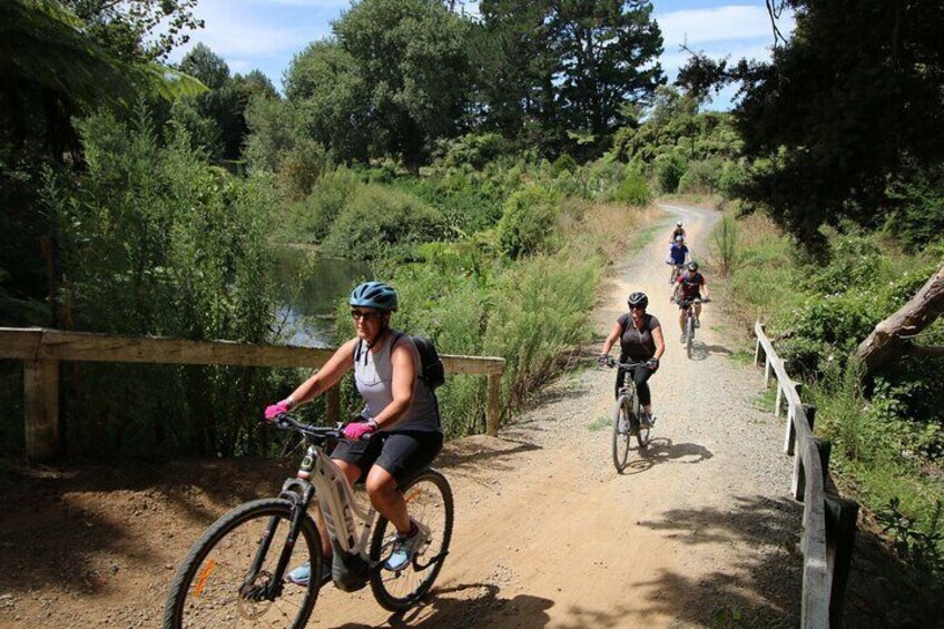 Private Full Day Ebike Tour in Karangahake Gorge