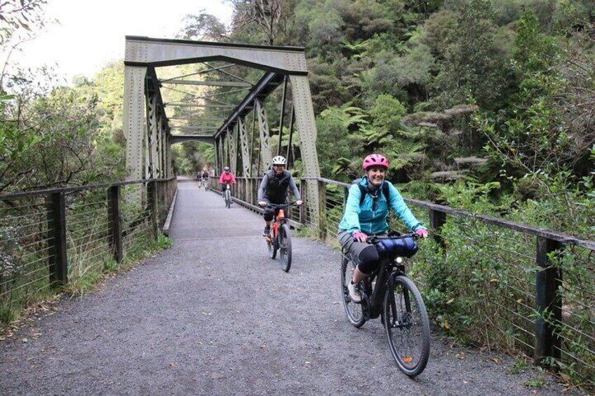 Private Full Day Ebike Tour in Karangahake Gorge