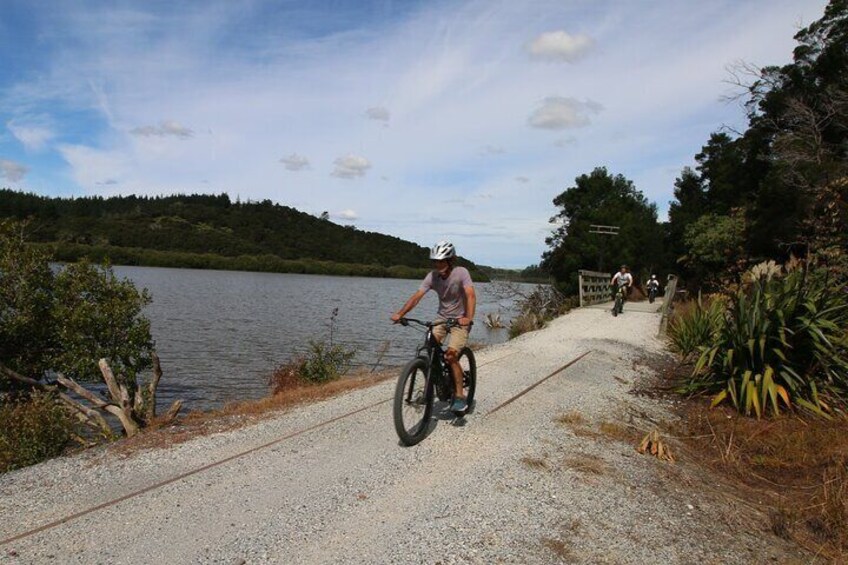 Private Full Day Ebike Tour in Karangahake Gorge