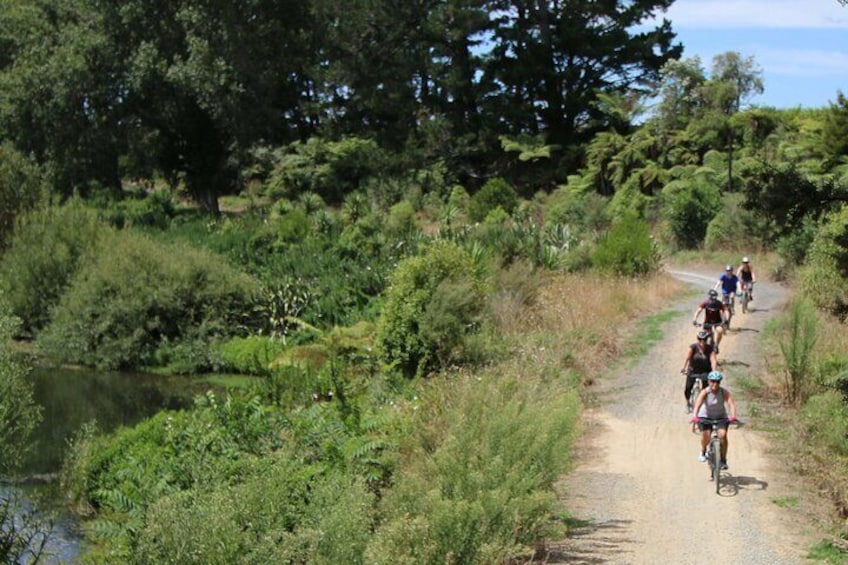 Private Full Day Ebike Tour in Karangahake Gorge