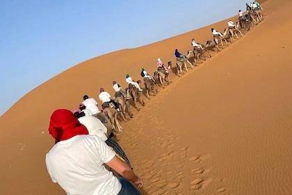 3 days & 2 nights to the magical desert & camel Trek