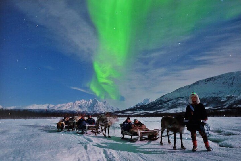 Strong northern lights above our Reindeer Sledders.