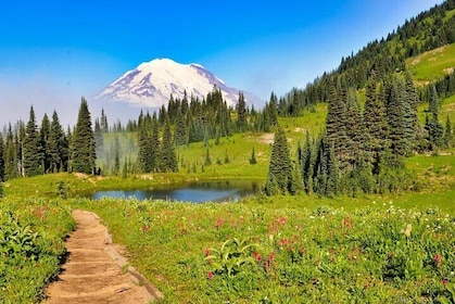 Private Mt Rainier National Park Tour in SUV