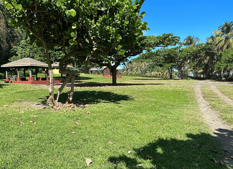 Picture 10 for Activity Owia Salt Pond and Black Point Tunnel Tour