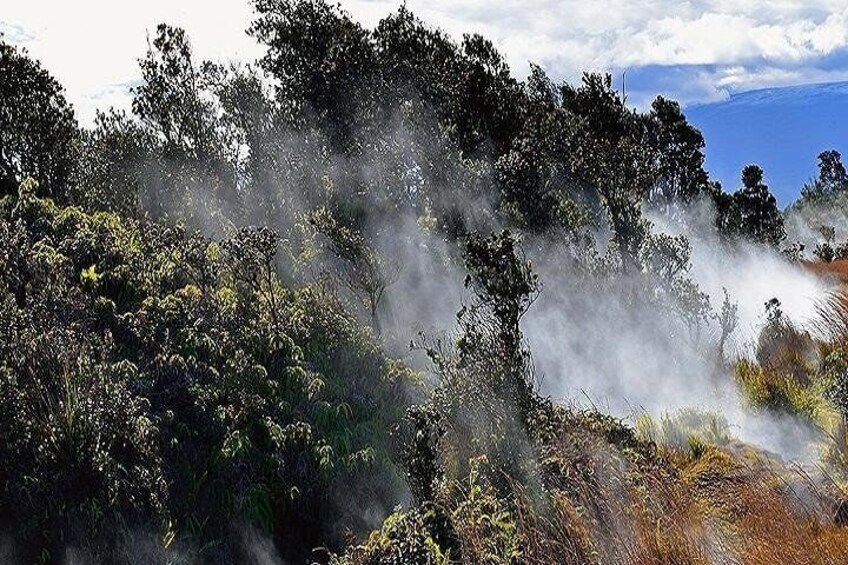 Hawaii Volcanoes National Park 