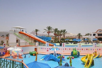 Full Day Makadi Water World Aqua Park with Transfer and Lunch