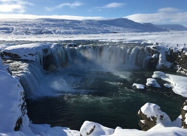 From Akureyri: Lake Myvatn and Godafoss Guided Tour