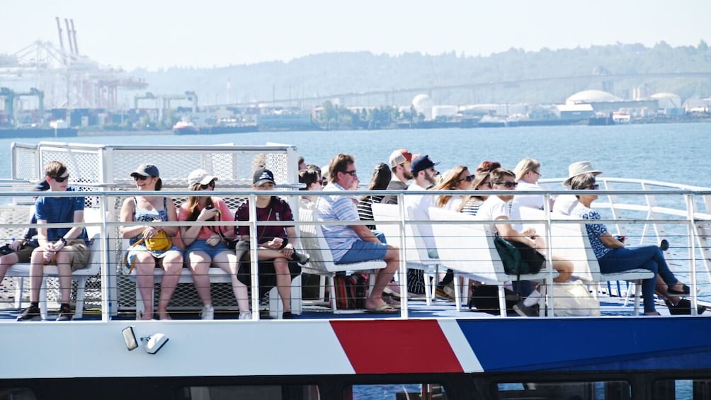 Seattle Half-Day Wildlife and Whale Watching Tour