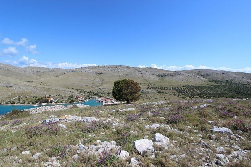 Private Half-day Boat Tour to National Park Kornati from Zadar