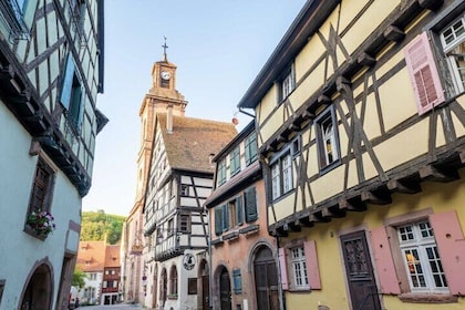 Riquewihr: Private Guided Walking Tour