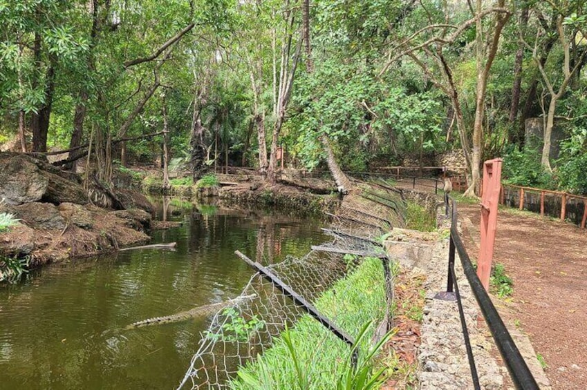 Crocodile Farm