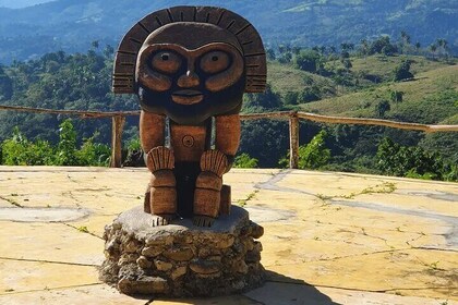 半天自然文化游览，热带泰诺花园之旅