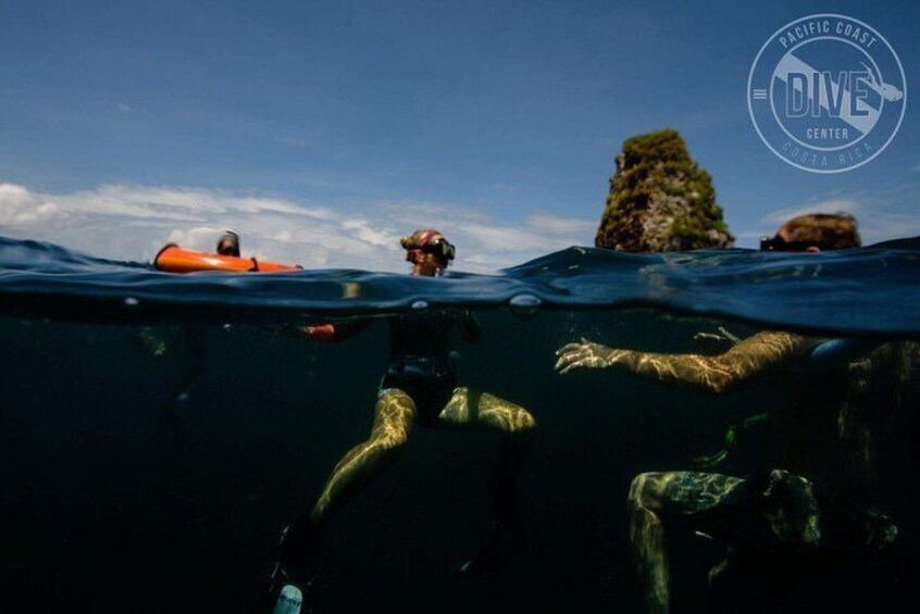 Snorkeling at Catalina Islands & North Island - CR