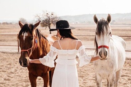 Horseback Riding Experience Cappadocia